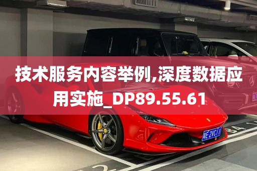 技术服务内容举例,深度数据应用实施_DP89.55.61