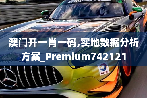 澳门开一肖一码,实地数据分析方案_Premium742121