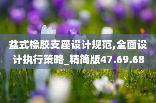 盆式橡胶支座设计规范,全面设计执行策略_精简版47.69.68