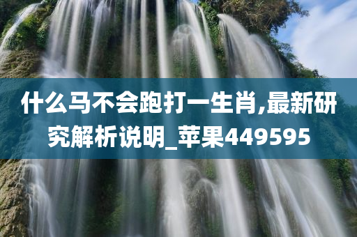 什么马不会跑打一生肖,最新研究解析说明_苹果449595