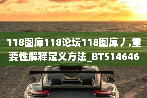 118图库118论坛118图库丿,重要性解释定义方法_BT514646