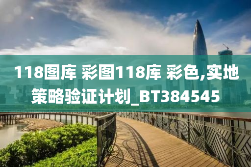 118图库 彩图118库 彩色,实地策略验证计划_BT384545