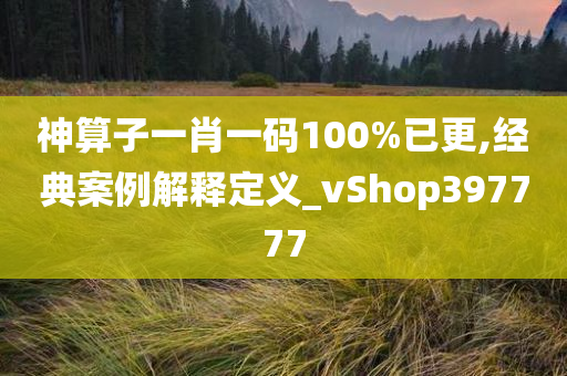 神算子一肖一码100%已更,经典案例解释定义_vShop397777