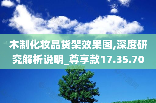 木制化妆品货架效果图,深度研究解析说明_尊享款17.35.70