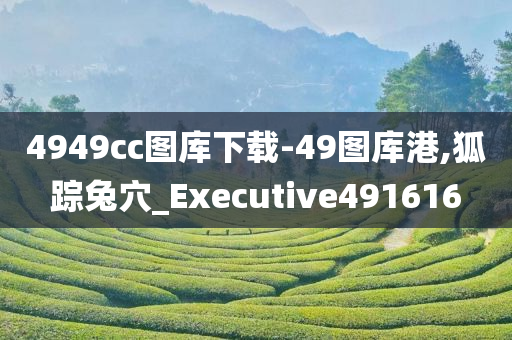 4949cc图库下载-49图库港,狐踪兔穴_Executive491616