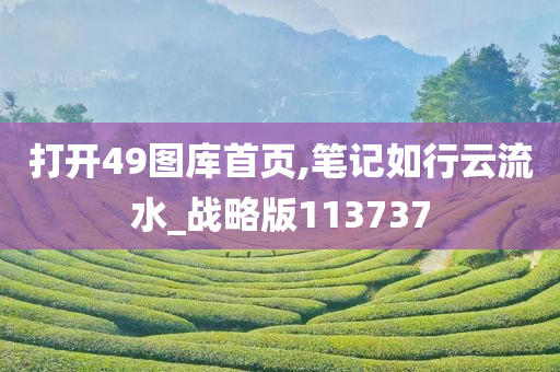 打开49图库首页,笔记如行云流水_战略版113737