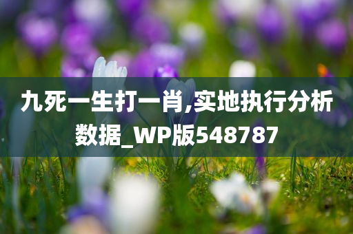 九死一生打一肖,实地执行分析数据_WP版548787