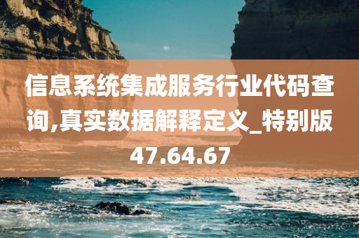 信息系统集成服务行业代码查询,真实数据解释定义_特别版47.64.67