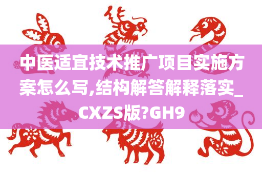 中医适宜技术推广项目实施方案怎么写,结构解答解释落实_CXZS版?GH9