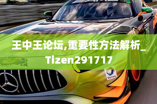 王中王论坛,重要性方法解析_Tizen291717