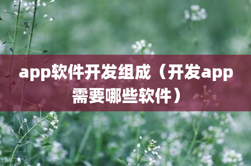 app软件开发组成（开发app需要哪些软件）