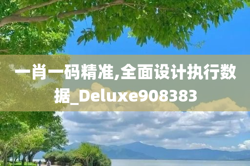 一肖一码精准,全面设计执行数据_Deluxe908383