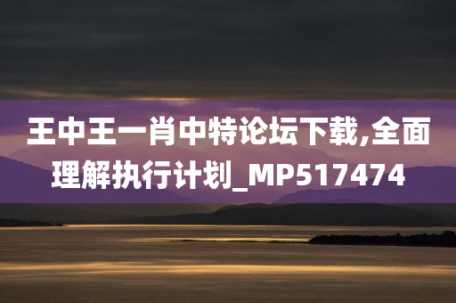 王中王一肖中特论坛下载,全面理解执行计划_MP517474