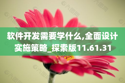 软件开发需要学什么,全面设计实施策略_探索版11.61.31