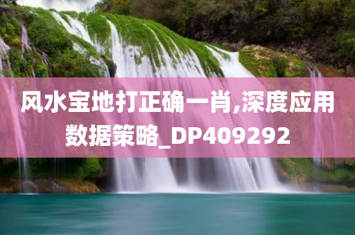 风水宝地打正确一肖,深度应用数据策略_DP409292