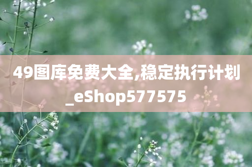 49图库免费大全,稳定执行计划_eShop577575