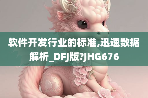 软件开发行业的标准,迅速数据解析_DFJ版?JHG676