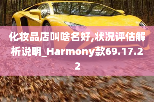 化妆品店叫啥名好,状况评估解析说明_Harmony款69.17.22