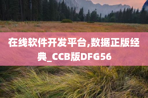 在线软件开发平台,数据正版经典_CCB版DFG56