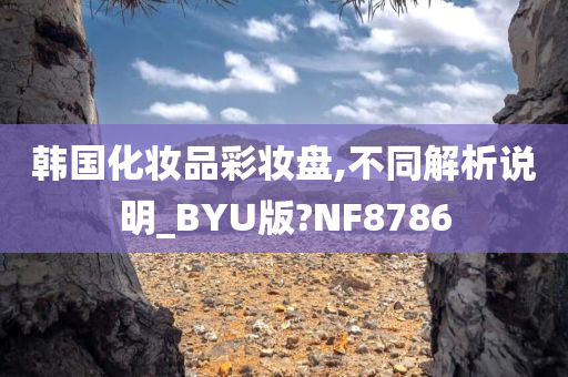 韩国化妆品彩妆盘,不同解析说明_BYU版?NF8786