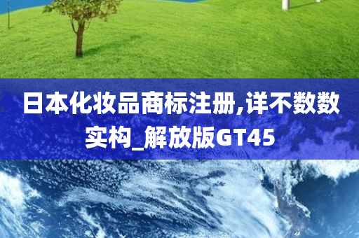 日本化妆品商标注册,详不数数实构_解放版GT45