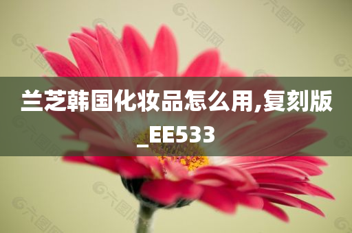 兰芝韩国化妆品怎么用,复刻版_EE533