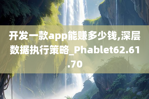 开发一款app能赚多少钱,深层数据执行策略_Phablet62.61.70