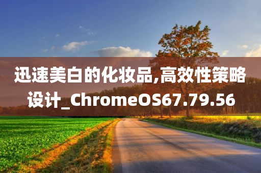 迅速美白的化妆品,高效性策略设计_ChromeOS67.79.56