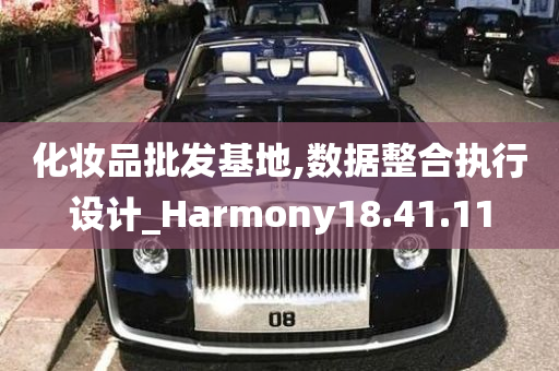 化妆品批发基地,数据整合执行设计_Harmony18.41.11