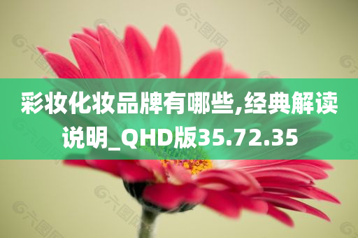 彩妆化妆品牌有哪些,经典解读说明_QHD版35.72.35