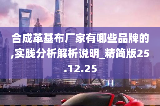 合成革基布厂家有哪些品牌的,实践分析解析说明_精简版25.12.25