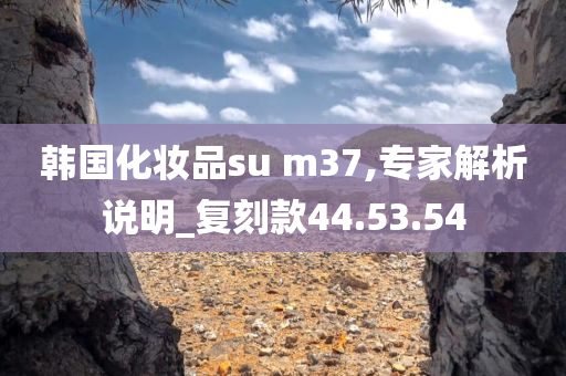 韩国化妆品su m37,专家解析说明_复刻款44.53.54