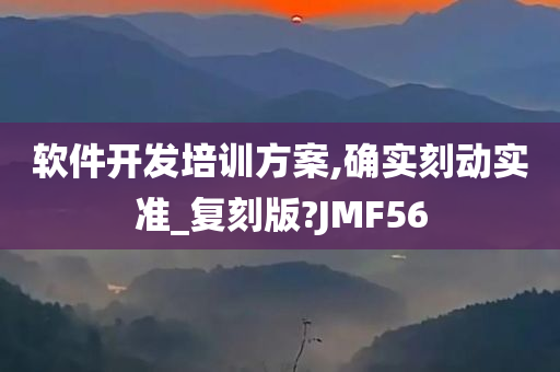 软件开发 第4页