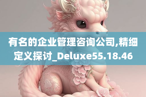 有名的企业管理咨询公司,精细定义探讨_Deluxe55.18.46