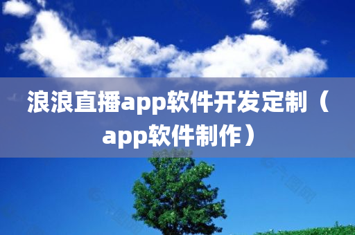 浪浪直播app软件开发定制（app软件制作）