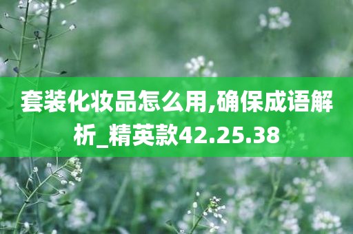 套装化妆品怎么用,确保成语解析_精英款42.25.38