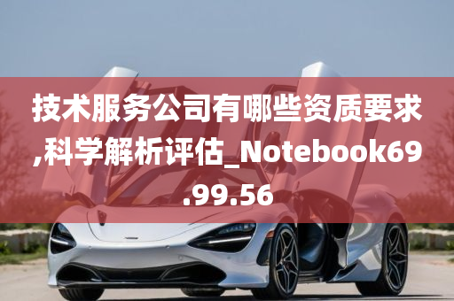 技术服务公司有哪些资质要求,科学解析评估_Notebook69.99.56