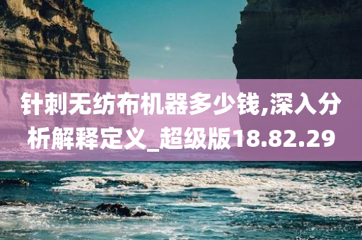 针刺无纺布机器多少钱,深入分析解释定义_超级版18.82.29