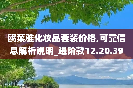 鸥莱雅化妆品套装价格,可靠信息解析说明_进阶款12.20.39