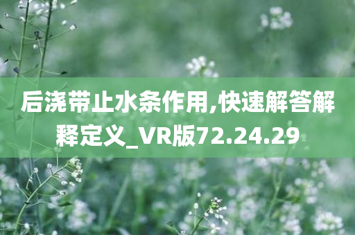 后浇带止水条作用,快速解答解释定义_VR版72.24.29