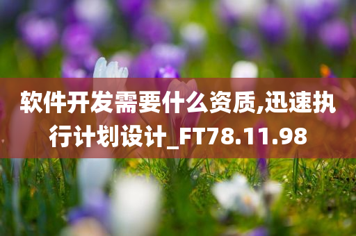 软件开发需要什么资质,迅速执行计划设计_FT78.11.98