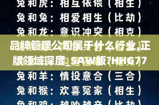 品牌管理公司属于什么行业,正版领域深度_SAW版?HHG77