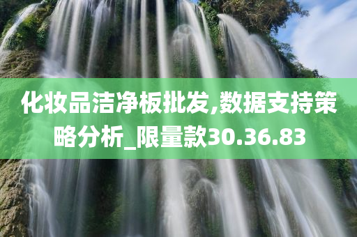 化妆品洁净板批发,数据支持策略分析_限量款30.36.83