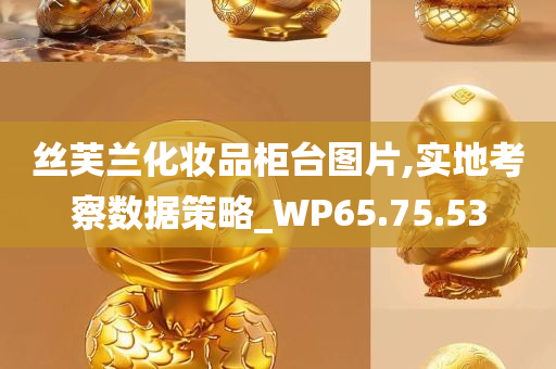 丝芙兰化妆品柜台图片,实地考察数据策略_WP65.75.53