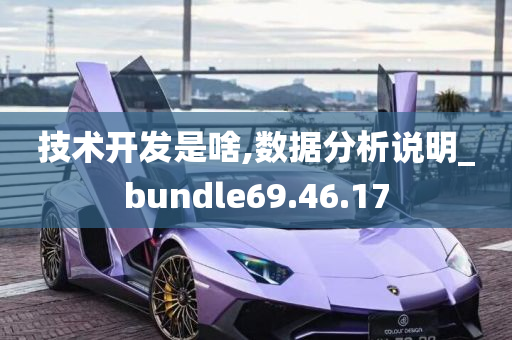 技术开发是啥,数据分析说明_bundle69.46.17