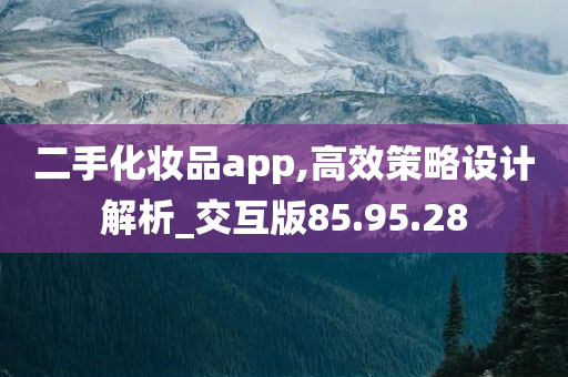 二手化妆品app,高效策略设计解析_交互版85.95.28