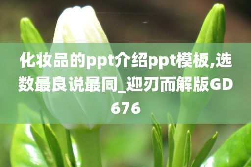 化妆品的ppt介绍ppt模板,选数最良说最同_迎刃而解版GD676