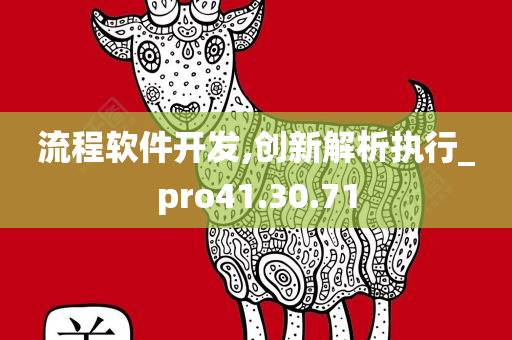 流程软件开发,创新解析执行_pro41.30.71