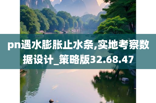 pn遇水膨胀止水条,实地考察数据设计_策略版32.68.47