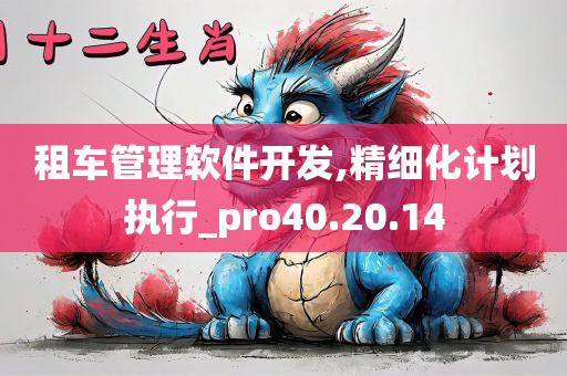 租车管理软件开发,精细化计划执行_pro40.20.14